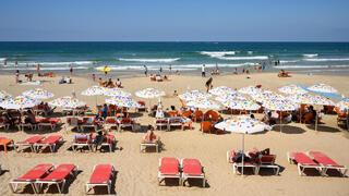 ynet
