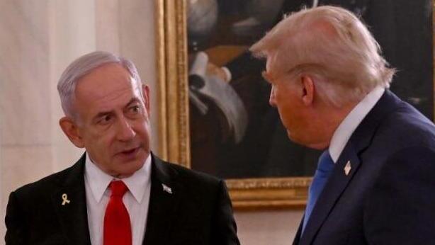 ynet