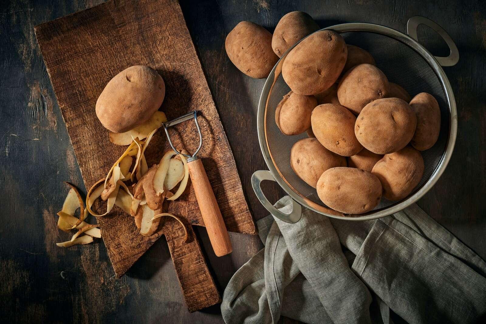 ישראל היום