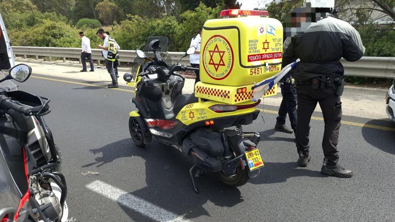 מעריב