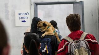 ynet