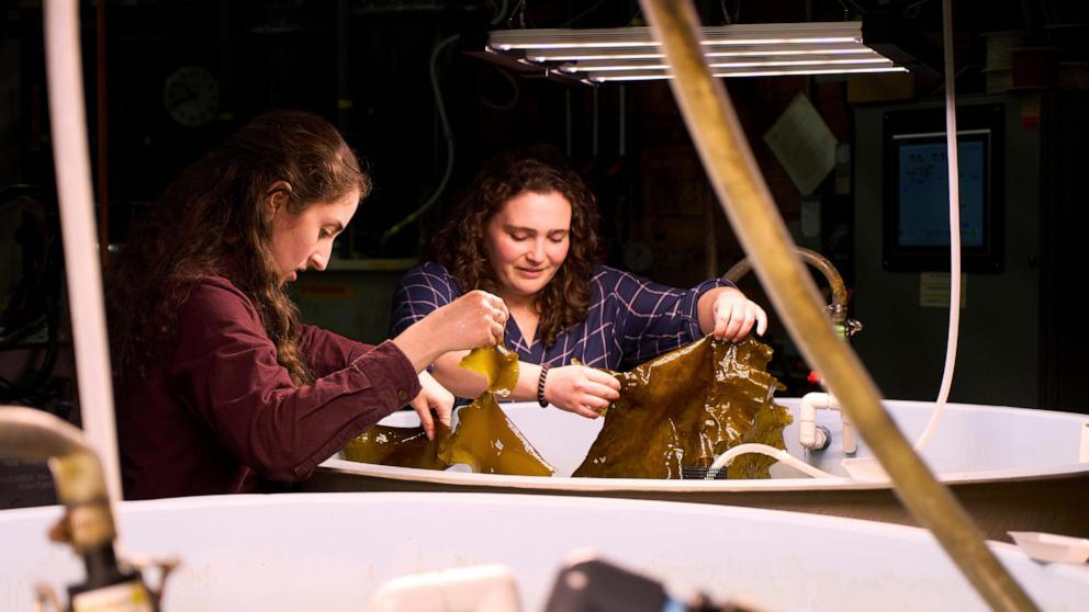 abc