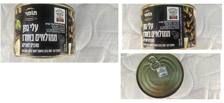 קול חי