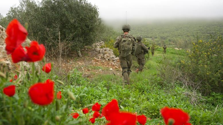 מעריב