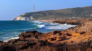 ynet