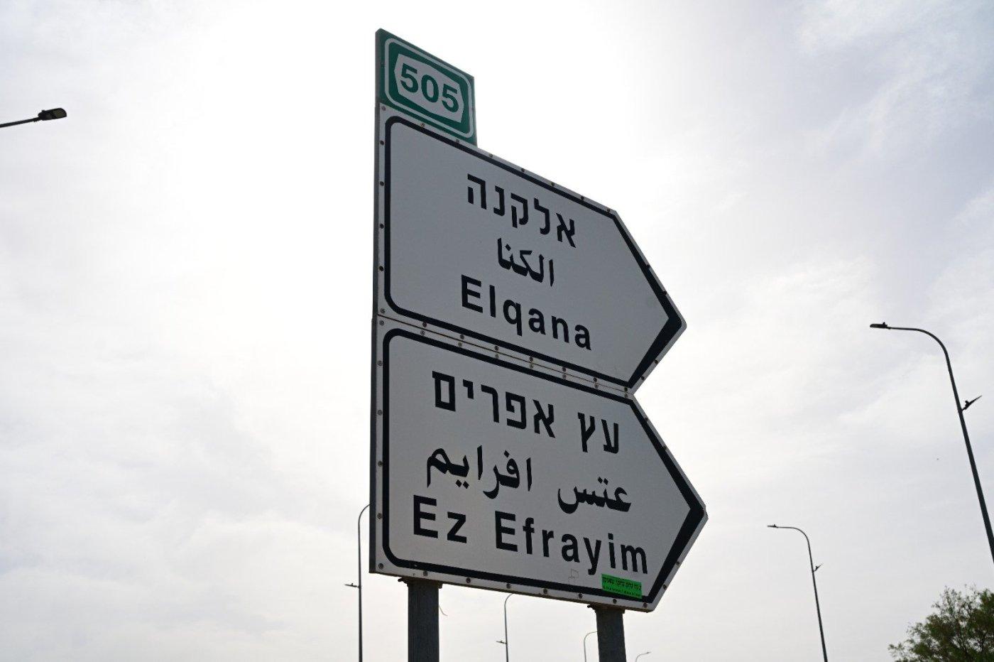 סרוגים