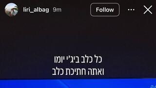 ynet
