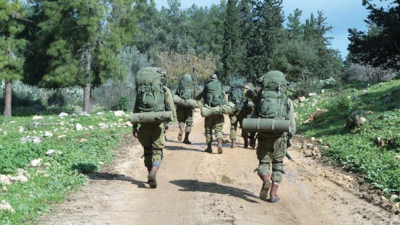 מעריב