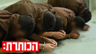 ynet