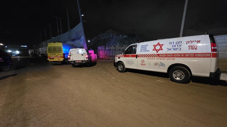 מעריב