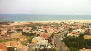 ynet