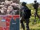 mako