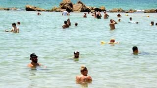 ynet