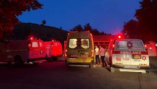 ynet