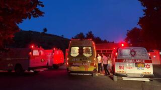 ynet