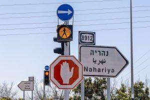 סרוגים