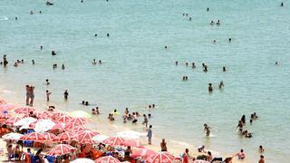 ynet