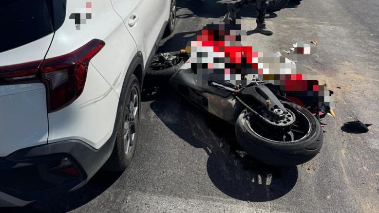 מעריב