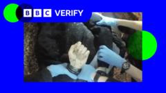 BBC