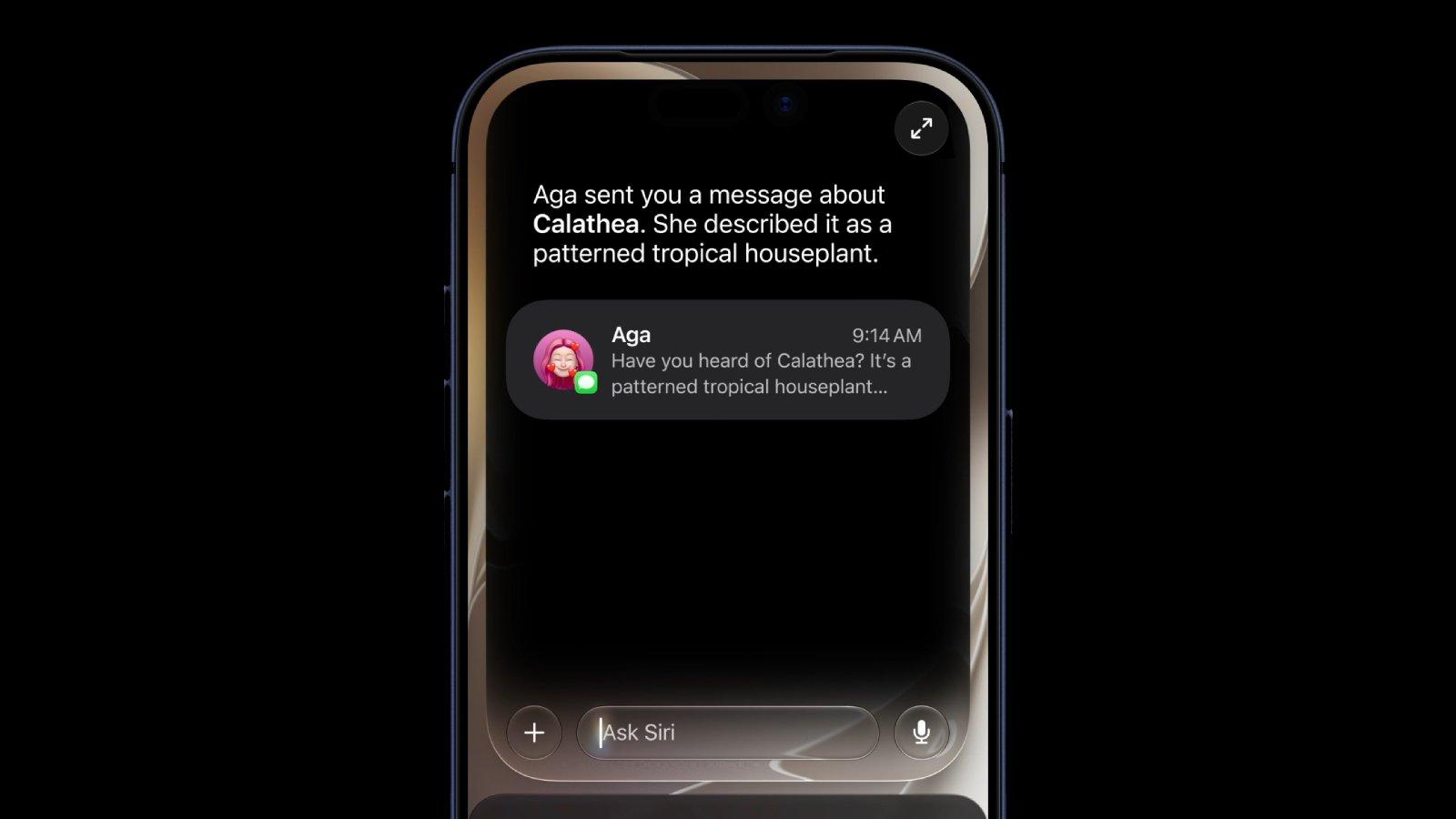 MacRumors