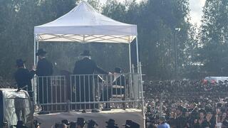 ynet