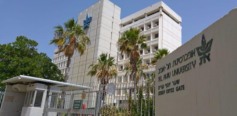 גלובס