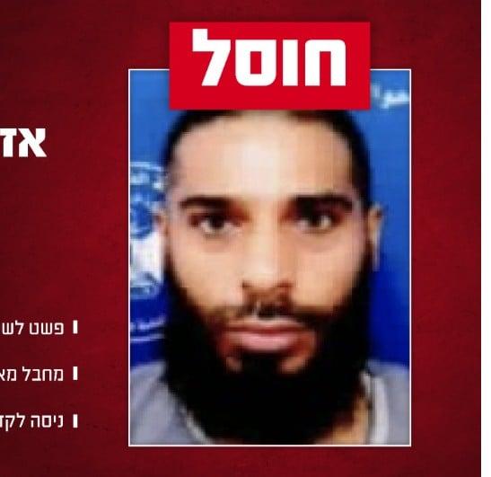 סרוגים