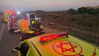ynet
