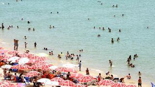 ynet