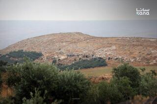 ynet