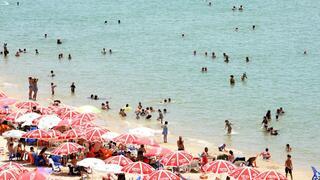 ynet
