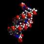 Phys