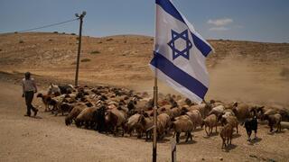 ynet
