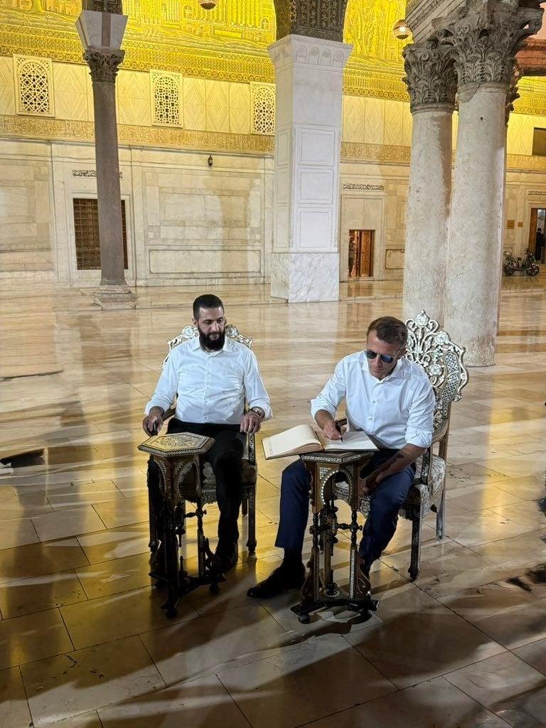 סרוגים