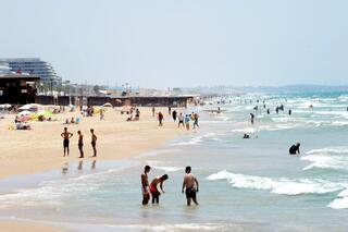 ynet