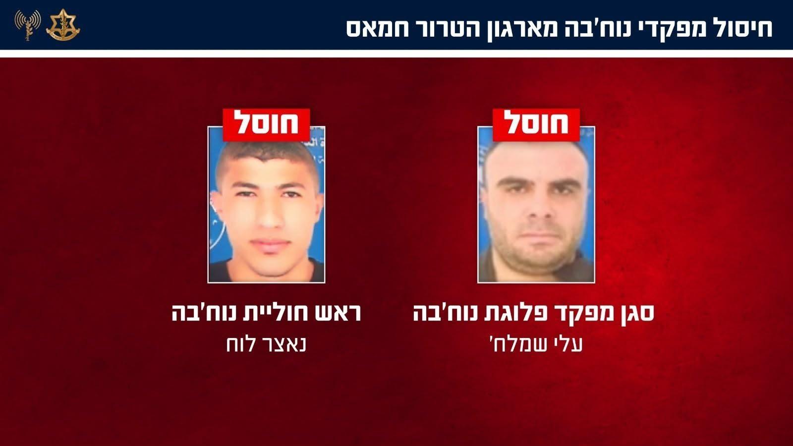 קול חי
