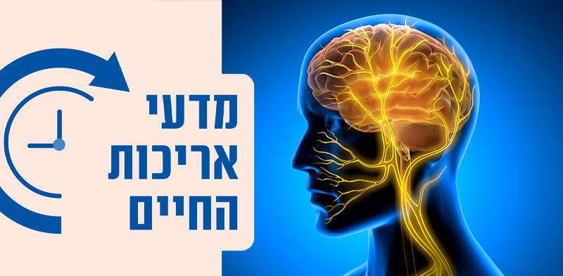גלובס
