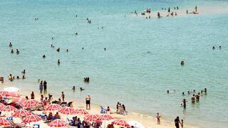 ynet