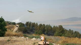ynet