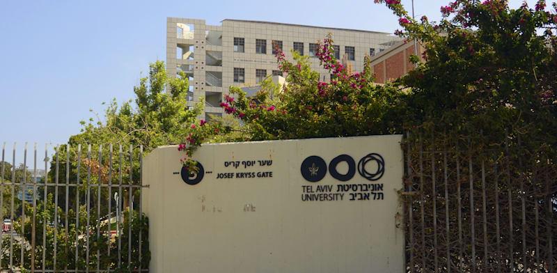 גלובס