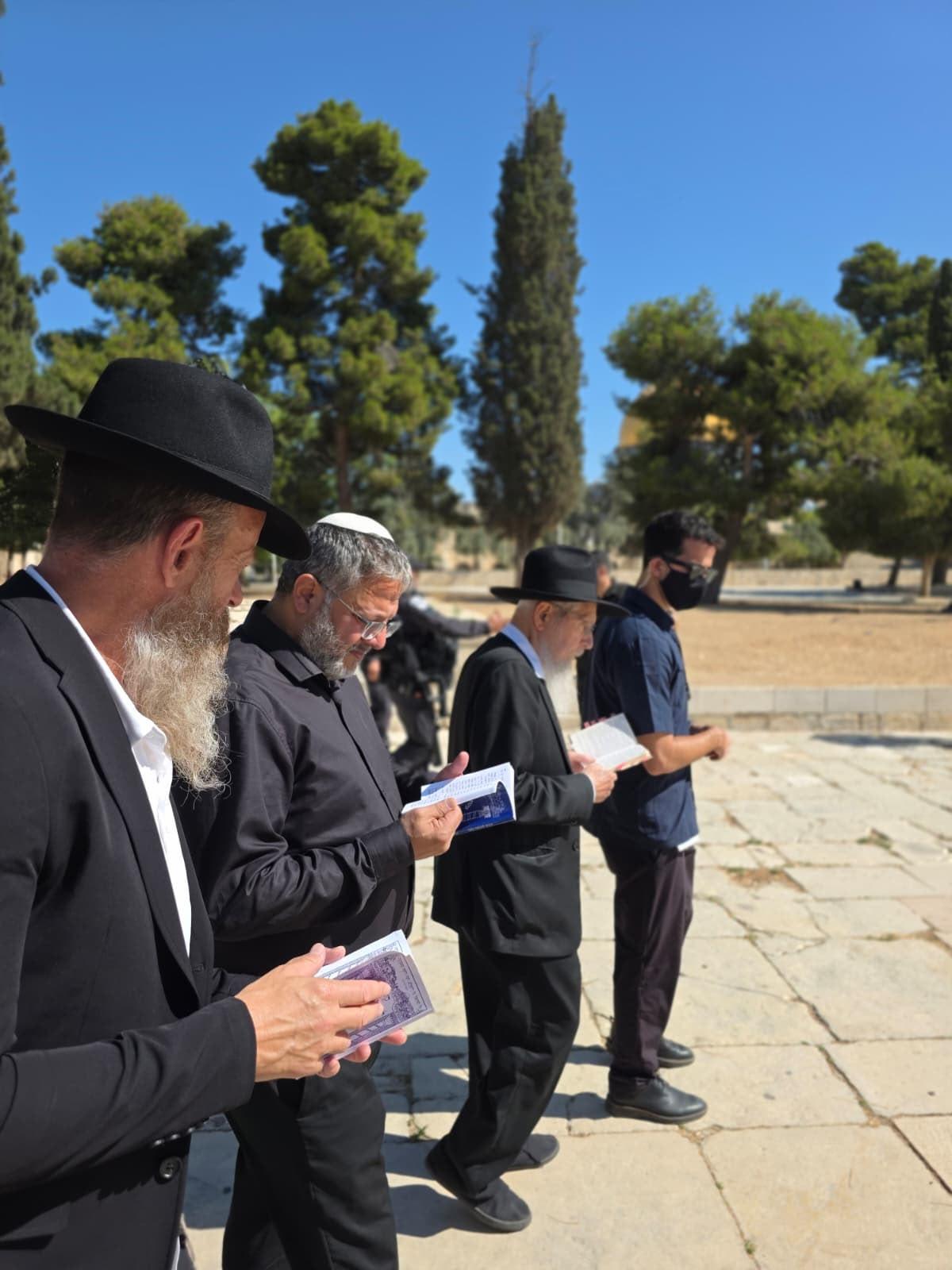 סרוגים