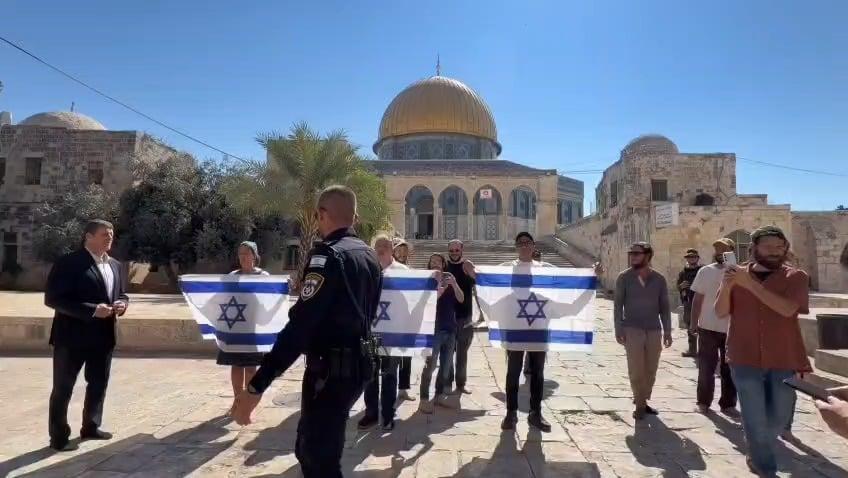 סרוגים