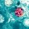 CBS