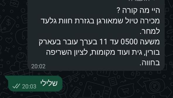 ynet