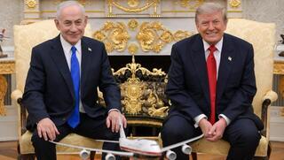 ynet