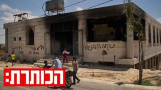 ynet