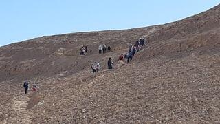 ynet