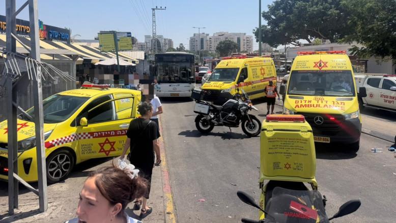 מעריב