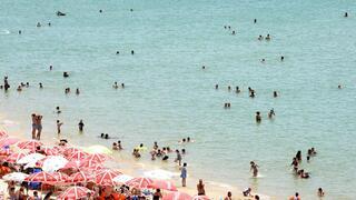 ynet