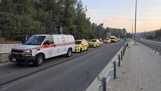 ynet
